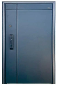Door option 1